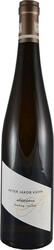 Вино Peter Jakob Kuhn, "Schlehdorn" Riesling Trocken, 2014