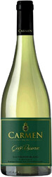 Вино Carmen, "Gran Reserva" Sauvignon Blanc, 2019