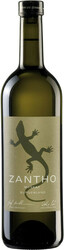 Вино "Zantho" Muskat Ottonel, 2019