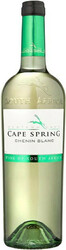 Вино "Cape Spring" Chenin Blanc, Western Cape