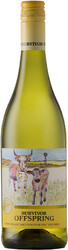 Вино "Survivor Offspring" Cape White Blend