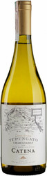Вино Catena Appellation, "Tupungato" Chardonnay, Mendoza, 2019