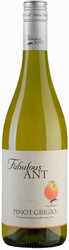 Вино "Fabulous Ant" Pinot Grigio