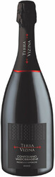 Игристое вино "Terra Vizina" Conegliano Valdobbiadene Prosecco Superiore DOC Extra Dry