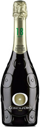 Игристое вино Conca d'Oro, Conegliano Valdobbiadene Prosecco Superiore Millesimato Extra Dry, 2019