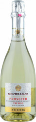 Игристое вино Montelliana, "Meliora" Millesimato Prosecco, Treviso DOC