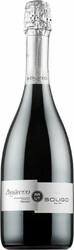 Игристое вино Soligo, Prosecco DOC Treviso Brut