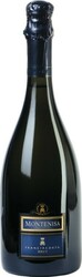 Игристое вино Montenisa Brut, Franciacorta DOCG