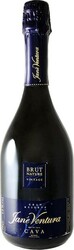 Игристое вино Jane Ventura, "Gran Reserva" Brut Nature, Cava DO, 2006