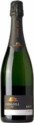 Игристое вино Cavas Hill, Cava Reserva Oro Brut DO