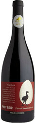 Вино Anne de Joyeuse, "Gargantuavis" Pinot Noir, Pays d'Oc IGP, 2018