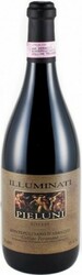Вино Illuminati, Pieluni Riserva Montepulciano d'Abruzzo Colline Teramane DOCG, 2007