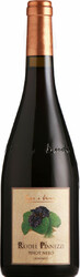 Вино Pojer e Sandri, "Rodel Pianezzi" Pinot Nero, Vigneti delle Dolomiti IGT, 2013