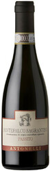 Вино Antonelli San Marco, Sagrantino Passito, Montefalco DOCG, 2010, 375 мл