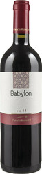 Вино Umani Ronchi, "Babylon", Marche IGT