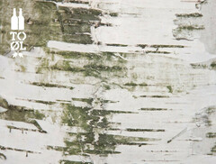 Пиво To Ol, "Baltic Frontier", in KeyKeg, 30 л