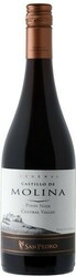 Вино "Castillo de Molina" Pinot Noir Reserva, 2014