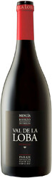 Вино Terras Gauda, "Pittacum" Val de la Loba, Bierzo DO, 2015