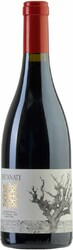 Вино Recanati, "Reserve" Wild Carignan (kosher), 2012