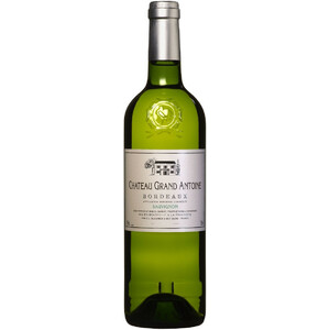 Вино "Chateau Grand Antoine" Sauvignon, Bordeaux AOC, 2019