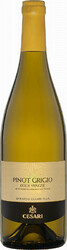 Вино Gerardo Cesari, Pinot Grigio delle Venezie IGT, 2019