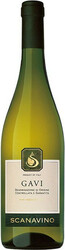 Вино "Scanavino" Gavi DOCG, 2019